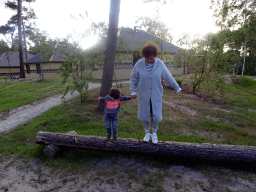 Miaomiao and Max on a tree trunk at the Safari Resort at the Safaripark Beekse Bergen