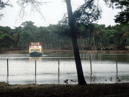 Safari boat and Yaks at the Safaripark Beekse Bergen, viewed from the car during the Autosafari