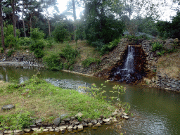 African Penguins and waterfall at the Safaripark Beekse Bergen