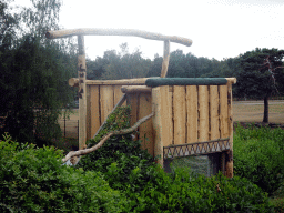 Tower at the Birds of Prey Safari area at the Safaripark Beekse Bergen