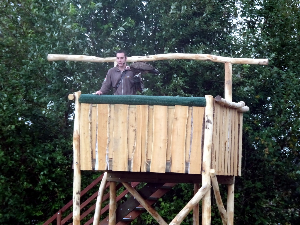 Zookeeper and Vulture at the Safaripark Beekse Bergen, during the Birds of Prey Safari