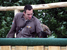 Zookeeper and Falcon at the Safaripark Beekse Bergen, during the Birds of Prey Safari
