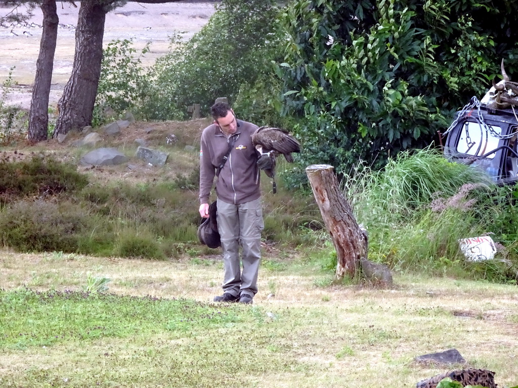 Zookeeper and Vulture at the Safaripark Beekse Bergen, during the Birds of Prey Safari