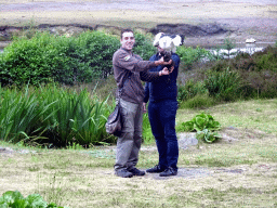 Zookeeper, visitor and White-bellied Sea Eagle at the Safaripark Beekse Bergen, during the Birds of Prey Safari