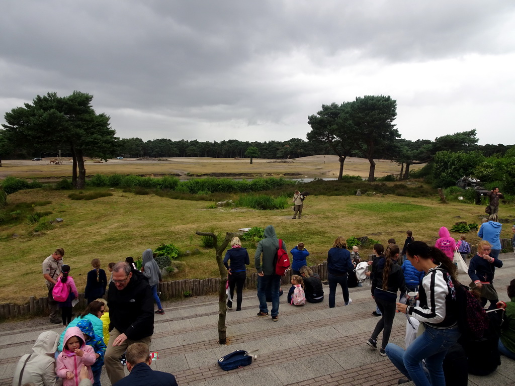 Zookeepers and Bald Eagle at the Safaripark Beekse Bergen, at the end of the Birds of Prey Safari