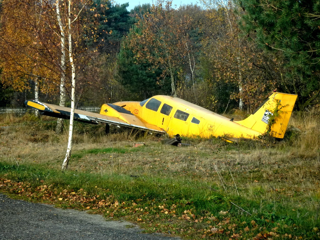 Airplane at the Safaripark Beekse Bergen, viewed from the car during the Autosafari