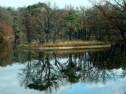 Island at the Safaripark Beekse Bergen, viewed from the car on a bridge during the Autosafari