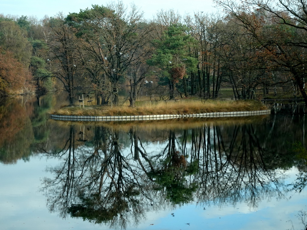 Island at the Safaripark Beekse Bergen, viewed from the car on a bridge during the Autosafari