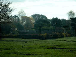 The Birds of Prey Safari area at the Safaripark Beekse Bergen, viewed from the car during the Autosafari