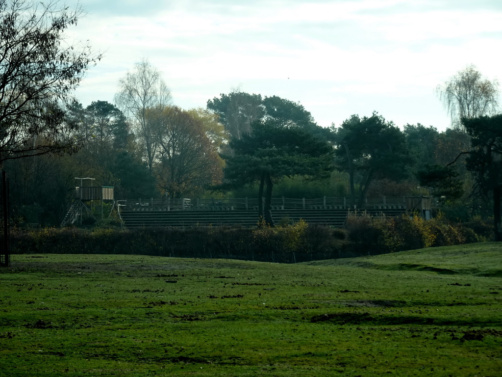 The Birds of Prey Safari area at the Safaripark Beekse Bergen, viewed from the car during the Autosafari