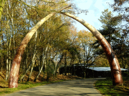Gate at the end of the Autosafari at the Safaripark Beekse Bergen, viewed from the car
