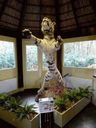 Stuffed Tiger in the Vriendenkraal building at the Safaripark Beekse Bergen