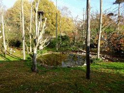 Wetland Aviary at the Safaripark Beekse Bergen