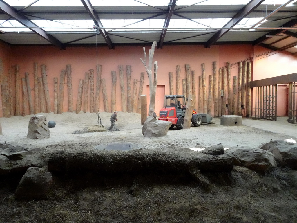 Interior of the Elephant enclosure at the Safaripark Beekse Bergen