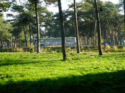 Lions, a safari bus and a car doing the Autosafari at the Safaripark Beekse Bergen