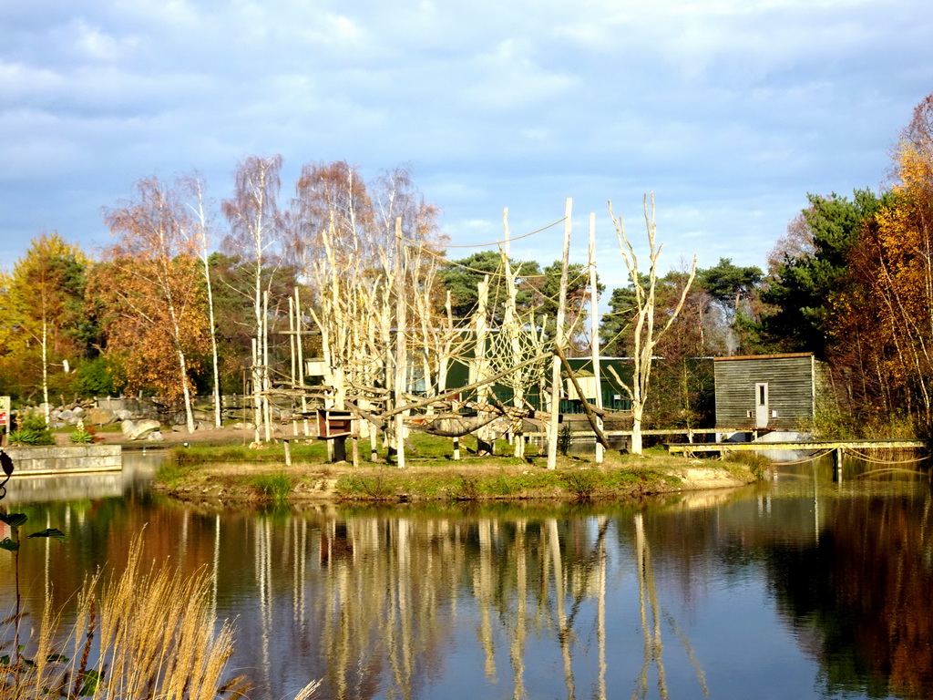 Island with Black-and-white Ruffed Lemurs at the Safaripark Beekse Bergen