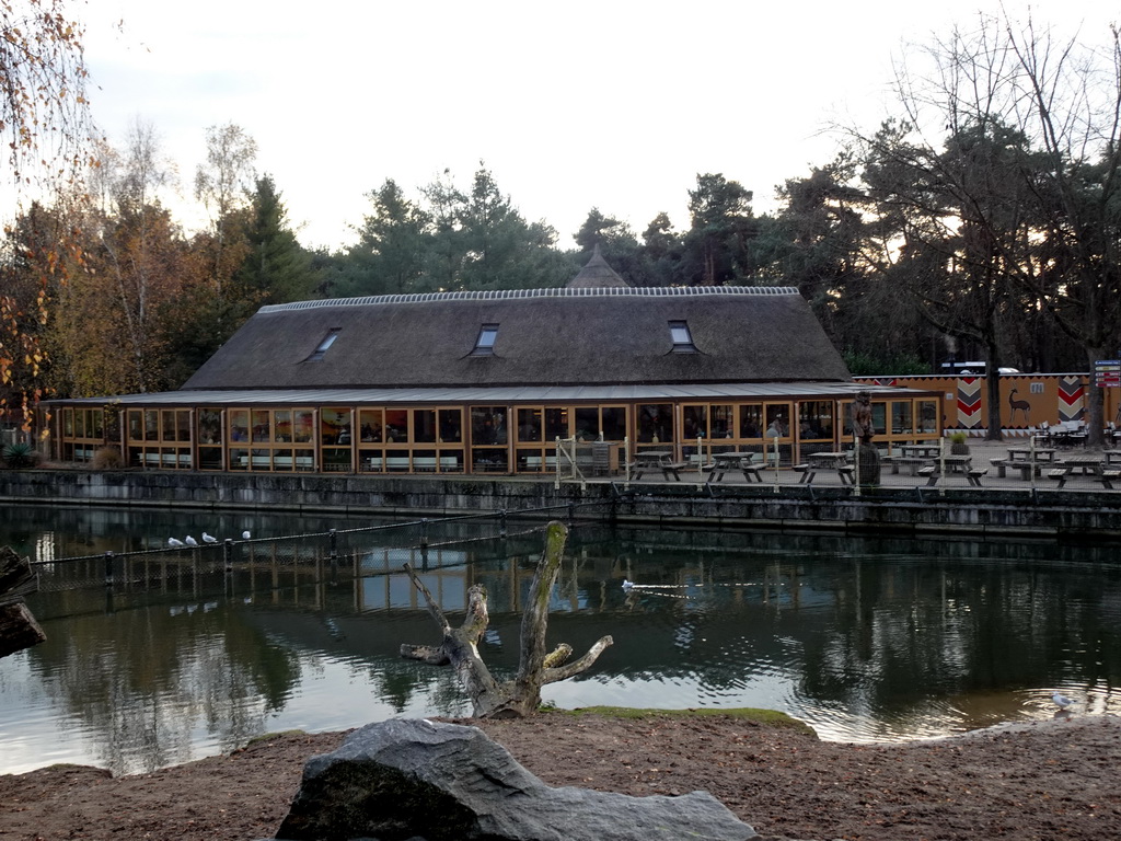 The Kongo restaurant at the Safaripark Beekse Bergen