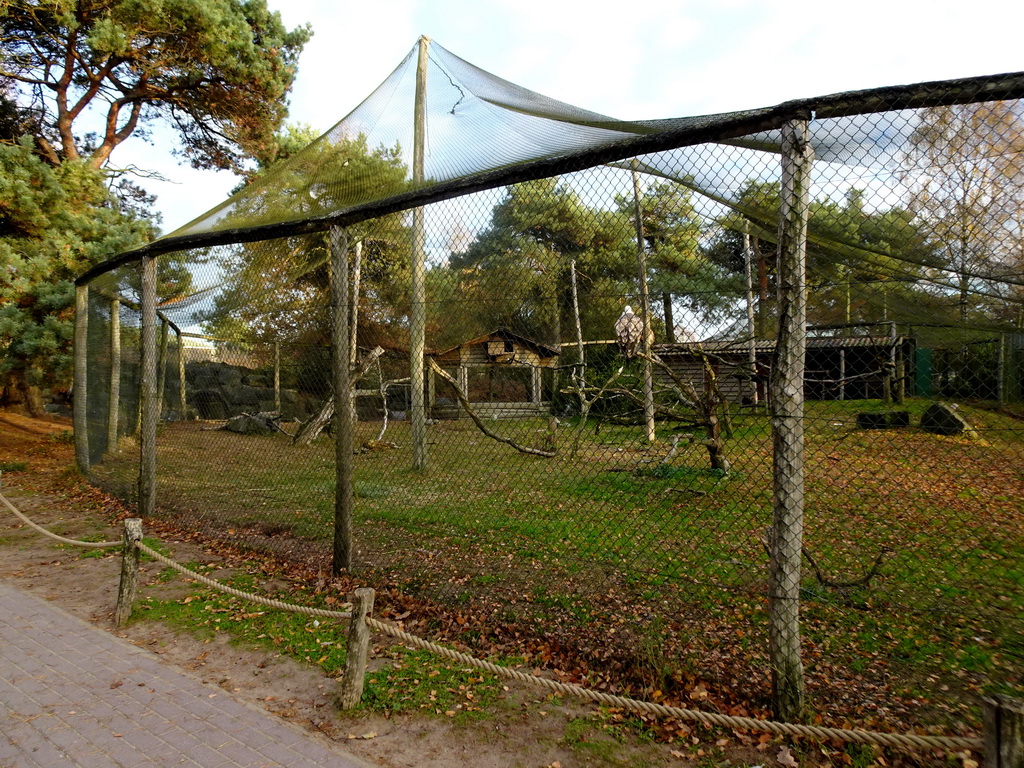 Aviary at the Safaripark Beekse Bergen