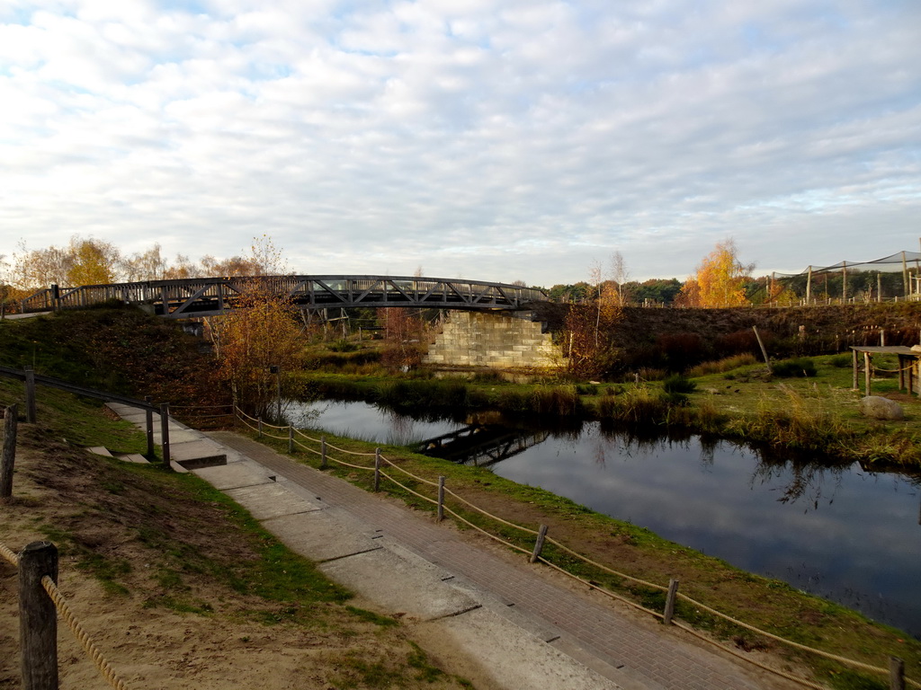 Bridge over a river at the Safaripark Beekse Bergen