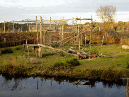 Gorilla island at the Safaripark Beekse Bergen