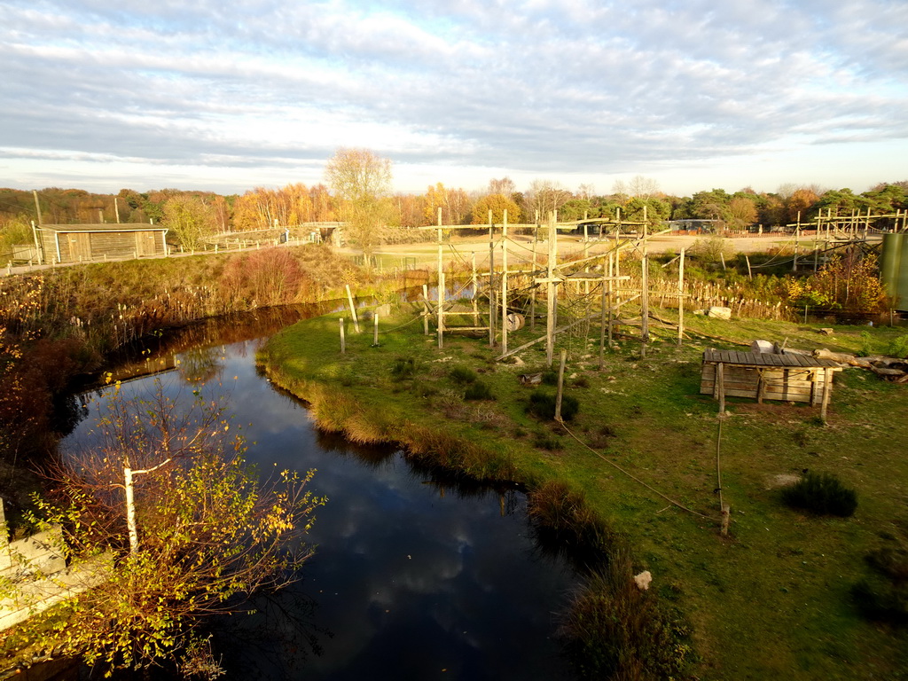 Chimpanzee island at the Safaripark Beekse Bergen