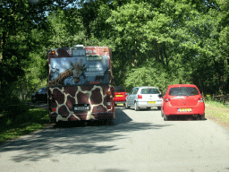 Safari bus and cars at the Safaripark Beekse Bergen, viewed from the car during the Autosafari