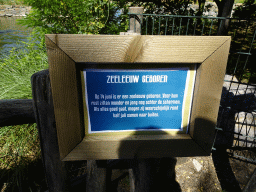 Information on the birth of a California Sea Lion at the Safaripark Beekse Bergen