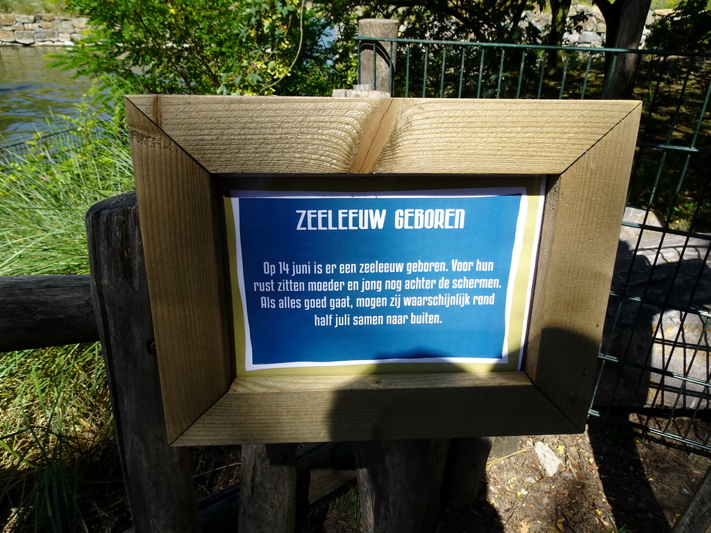 Information on the birth of a California Sea Lion at the Safaripark Beekse Bergen