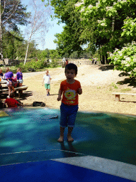 Max at the trampoline at the playground near the Kongo restaurant at the Safaripark Beekse Bergen