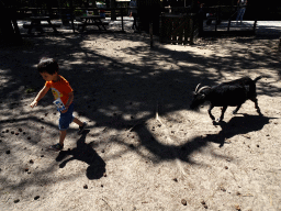 Max with a Goat at the Petting Zoo at the Afrikadorp village at the Safaripark Beekse Bergen