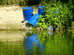 Blue barrels at the African Penguin enclosure at the Safaripark Beekse Bergen