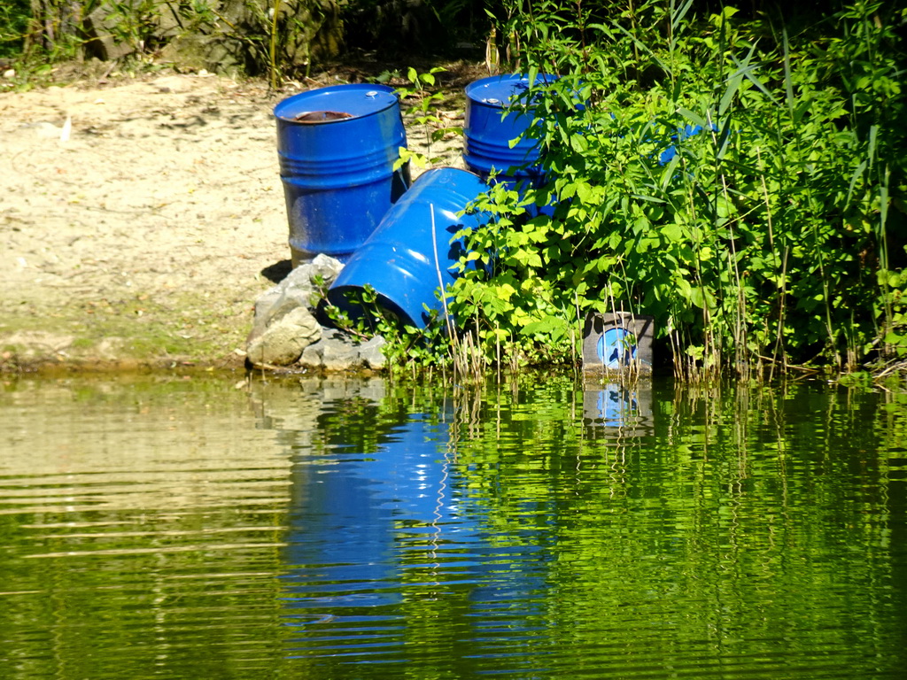 Blue barrels at the African Penguin enclosure at the Safaripark Beekse Bergen