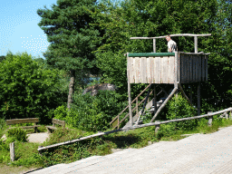 Zookeeper and Steppe Eagle at the Safaripark Beekse Bergen, during a training at the Birds of Prey Safari area