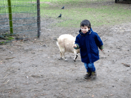 Max with a Goat at the Petting Zoo at the Afrikadorp village at the Safaripark Beekse Bergen