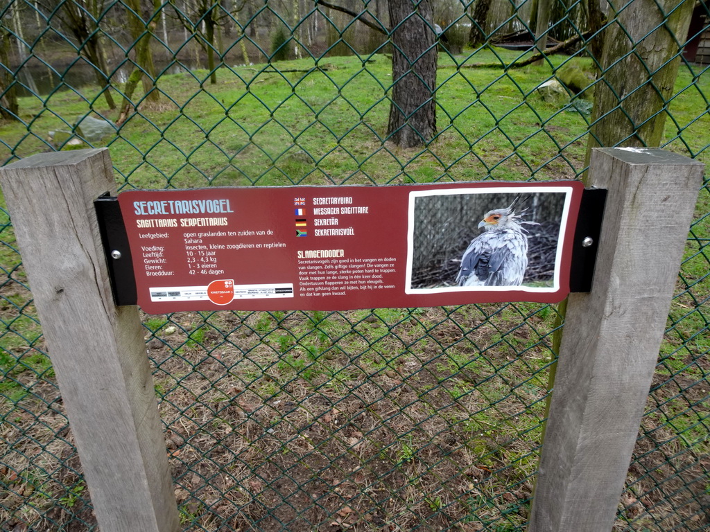 Explanation on the Secretarybird at the Safaripark Beekse Bergen