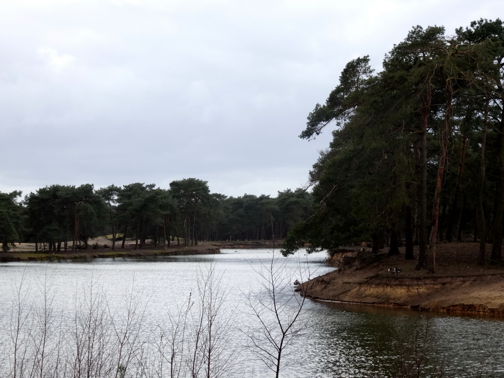 River at the Safaripark Beekse Bergen