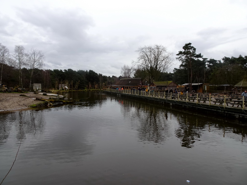 Pond at the Kongoplein square at the Safaripark Beekse Bergen