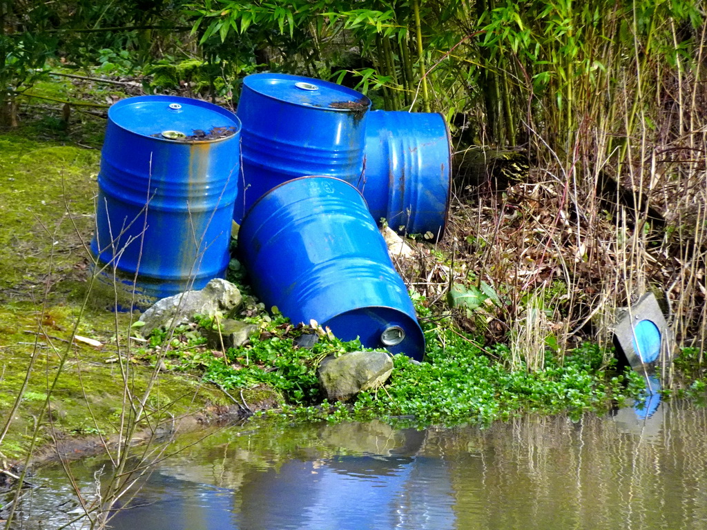 Blue barrels at the African Penguin enclosure at the Safaripark Beekse Bergen