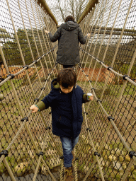 Max at the walkway over the Sloth Bear enclosure at the Safaripark Beekse Bergen