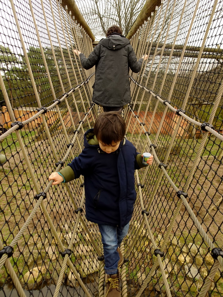 Max at the walkway over the Sloth Bear enclosure at the Safaripark Beekse Bergen