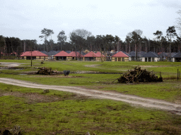 Holiday homes of the Safari Resort at the Safaripark Beekse Bergen