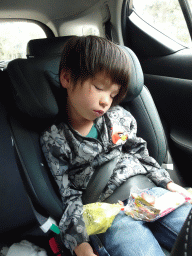 Max sleeping in the car during the Autosafari at the Safaripark Beekse Bergen