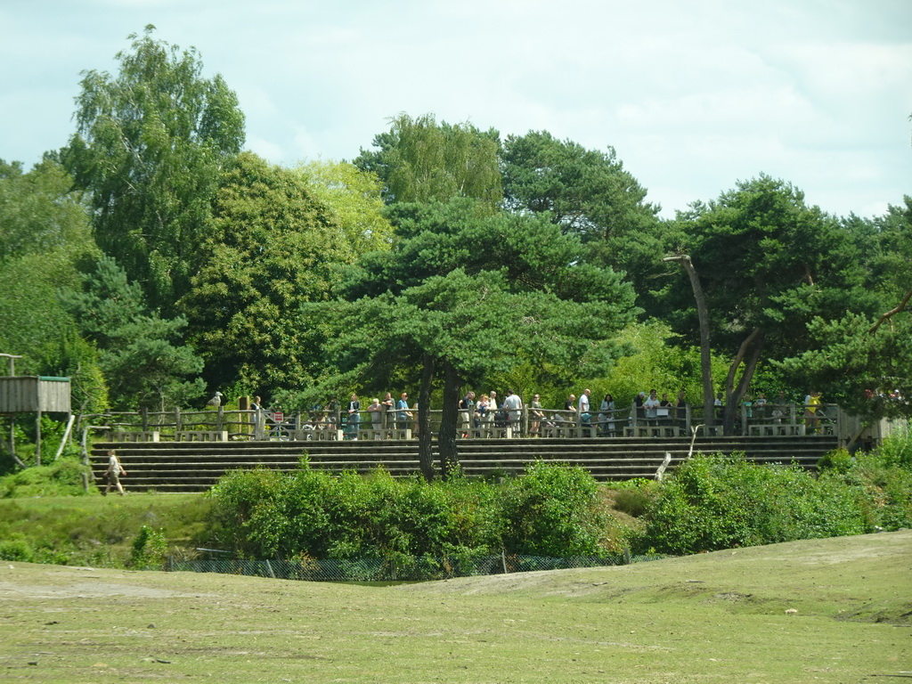 Birds of Prey Safari area at the Safaripark Beekse Bergen, viewed from the car during the Autosafari