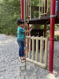 Max at the playground near the Hamadryas Baboons at the Safaripark Beekse Bergen