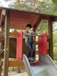 hilvarenbeek_8_154 - 358 kb - 768x1024 - Max on the slide at the playground near the Elephant enclosure at the Safaripark Beekse Bergen Max on the slide at the playground near the Elephant enclosure at the Safaripark Beekse Bergen