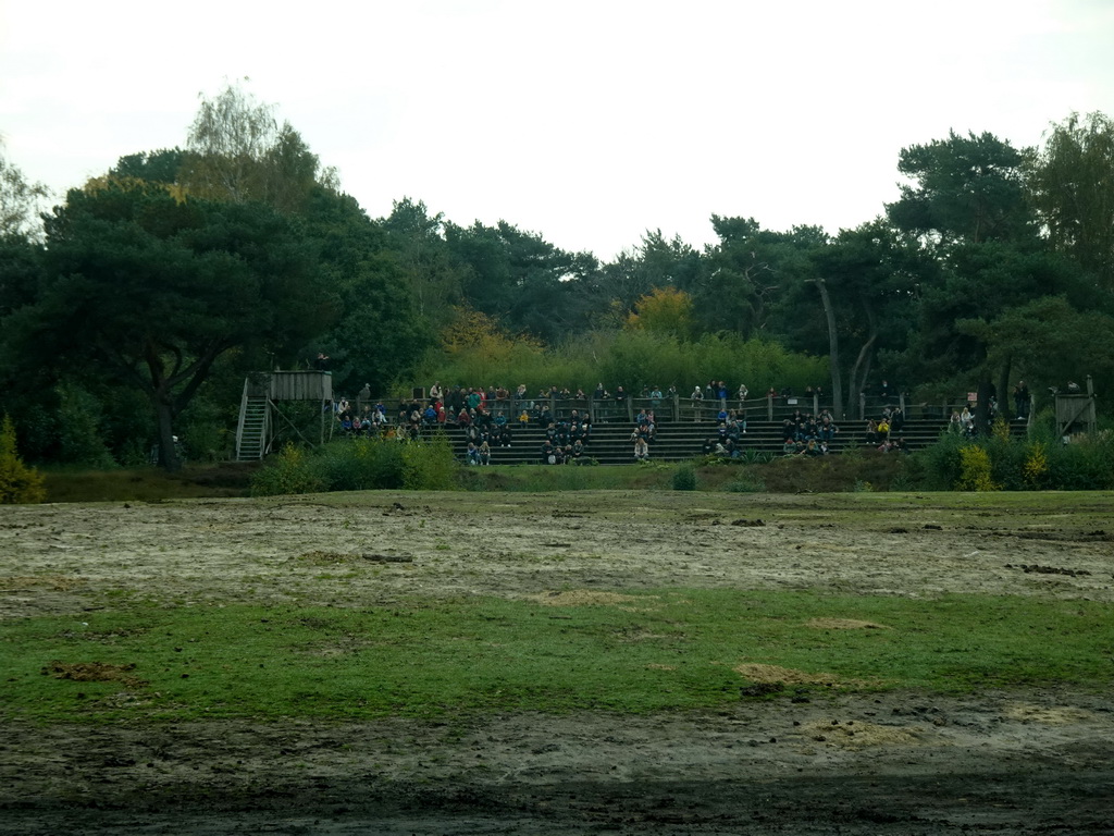 Birds of Prey Safari area at the Safaripark Beekse Bergen, viewed from the car during the Autosafari