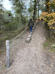 Max on a rope bridge near the African Elephant enclosure at the Safaripark Beekse Bergen