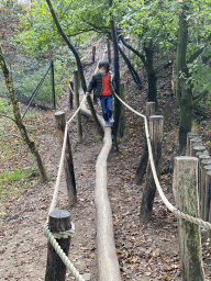 Max on a rope bridge at the Safaripark Beekse Bergen