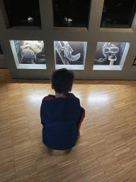 Max looking at photographs of small insects at the middle floor of the Museonder museum