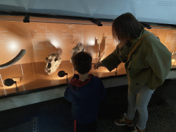 Miaomiao and Max with Bear skulls at the middle floor of the Museonder museum, with explanation